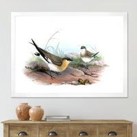 Designart 'drevna ptica ilustracija II' seoska kuća uokvirena umjetnička štampa