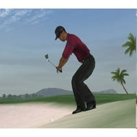 Tiger Woods PGA Tour - PlayStation 2