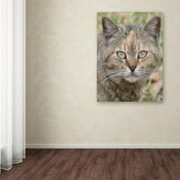Zaštitni znak Likovna umjetnost Pretty Kitty umjetnost na zidu od platna Patty Tuggle