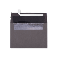 LUXPaper poziv koverte, 14, lb. Dim siva sa srebrnom podstavom, pakovanje
