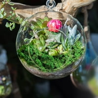 huaai mahovina Umjetna mahovina za zelenilo u saksiji mahovina dekoracija doma fairy garden zanati dekoracija