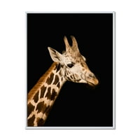 Designart 'Close Up portret Žirafe na Crnom IV' seoska kuća uokvirena platnenim zidom Art Print