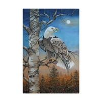 Zaštitni znak Likovna umjetnost' Moonlight Eagle ' platna Umjetnost Carol J Rupp